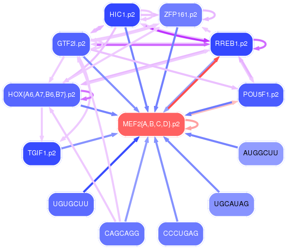 PNG image of the network